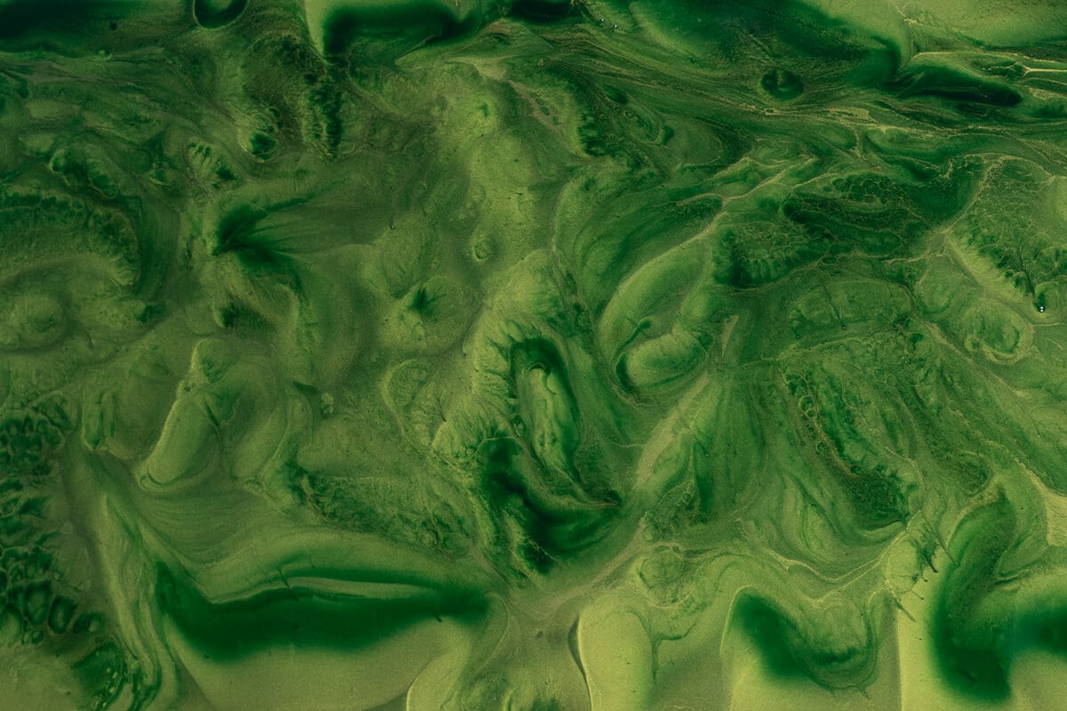 epoxy countertop olivegreen moosgruen epoxy countertop olivegreen moosgruen