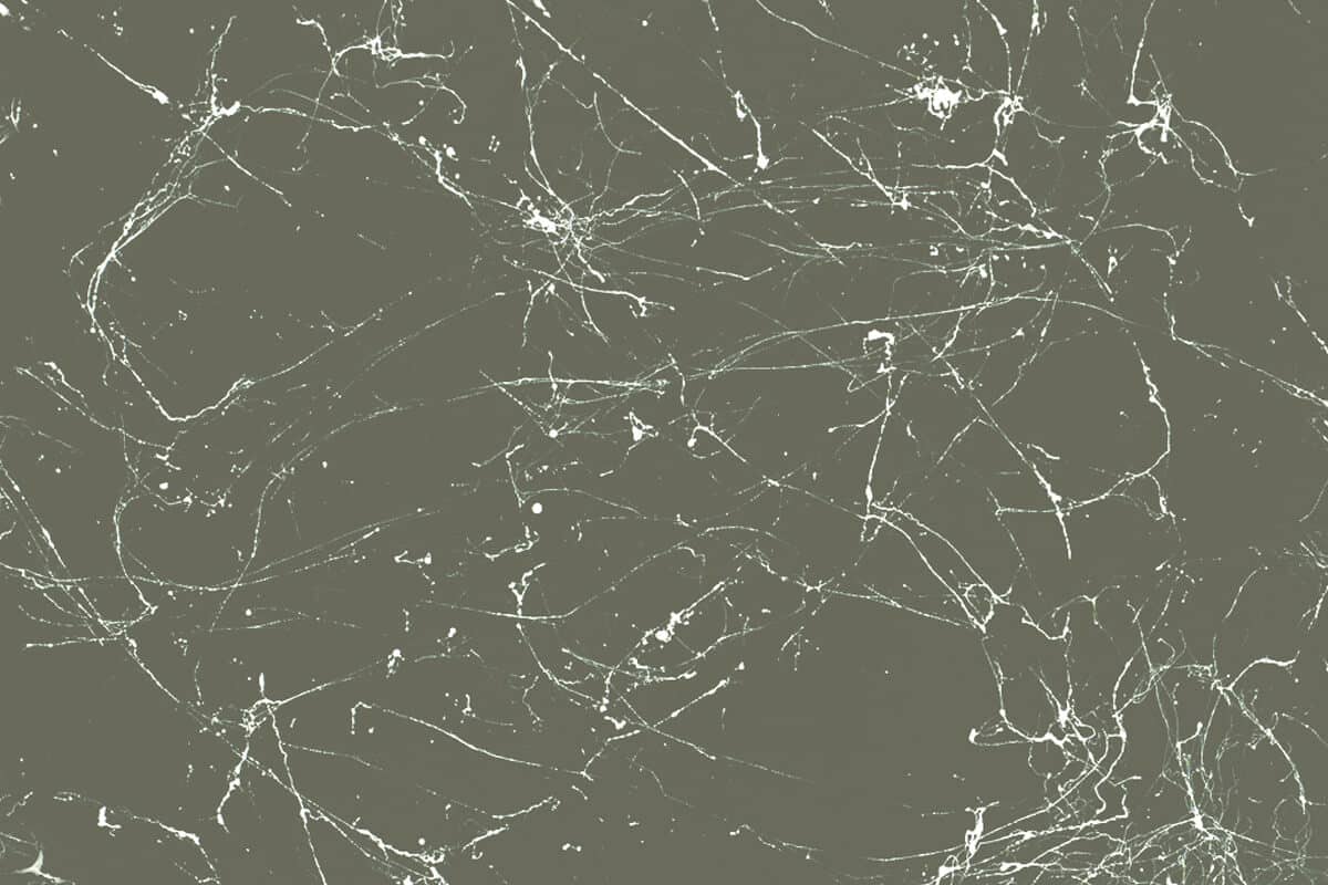 Betongrau Weiss Marble 1 Betongrau Weiss Marble 1
