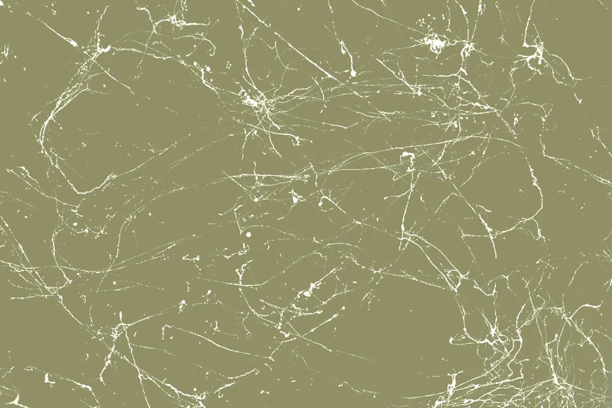 Olivgrau Weiss Marble 1 Olivgrau Weiss Marble 1