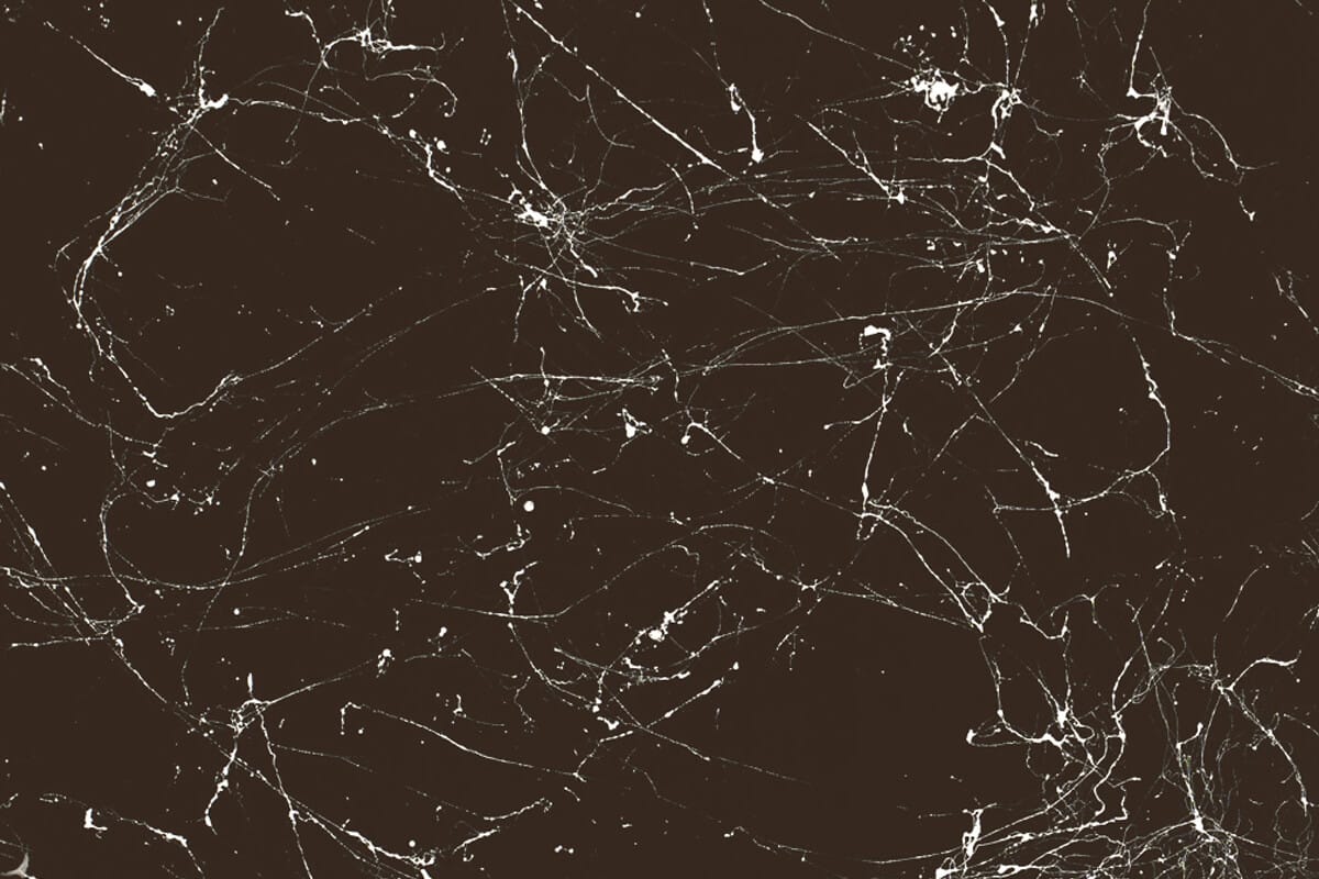 Terrabraun Weiss Marble 1 Terrabraun Weiss Marble 1