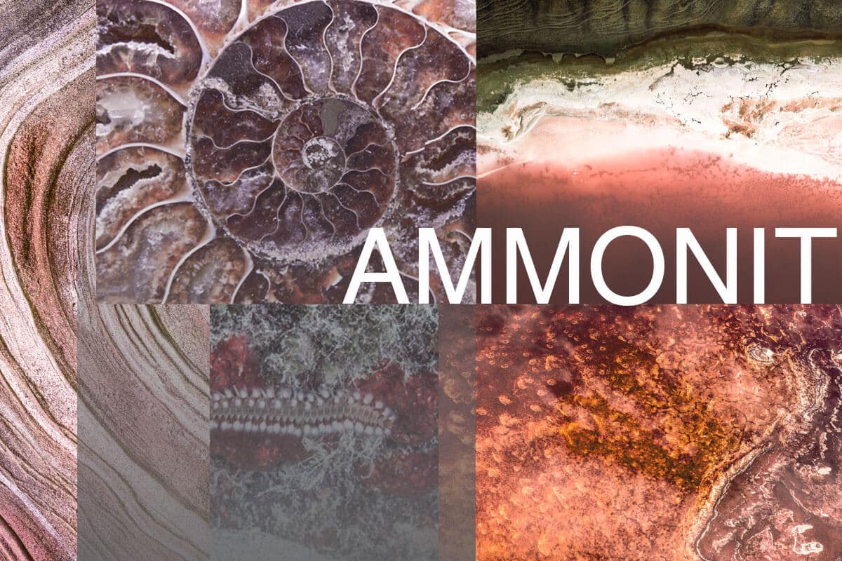 epoxidharz countertop ammonit 3 epoxidharz countertop ammonit 3